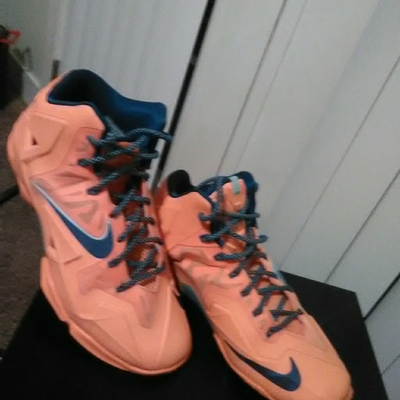 Lebrons - Picture 6 of 6